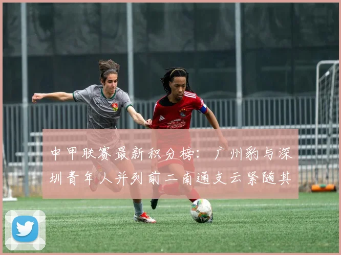 中甲联赛最新积分榜：广州豹与深圳青年人并列前二南通支云紧随其后