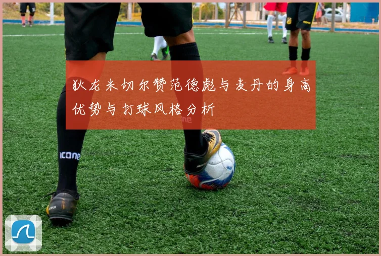 狄龙米切尔赞范德彪与麦丹的身高优势与打球风格分析